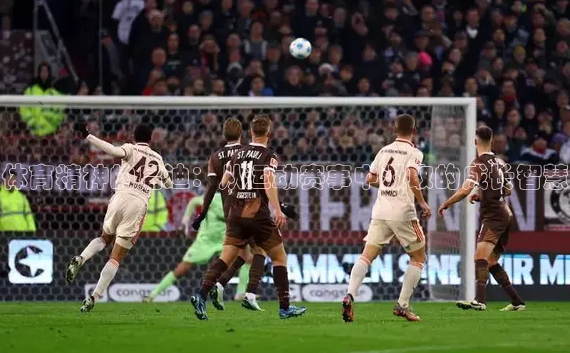 球友体育app下载官网