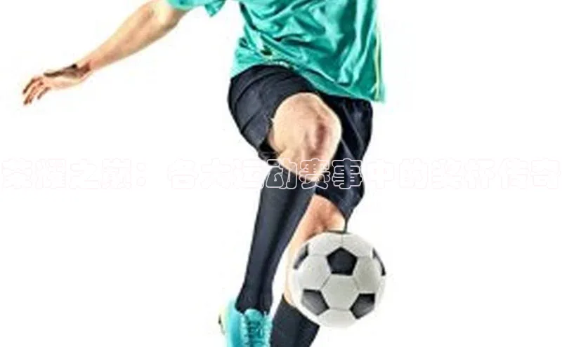 qy球友会网页版登录入口