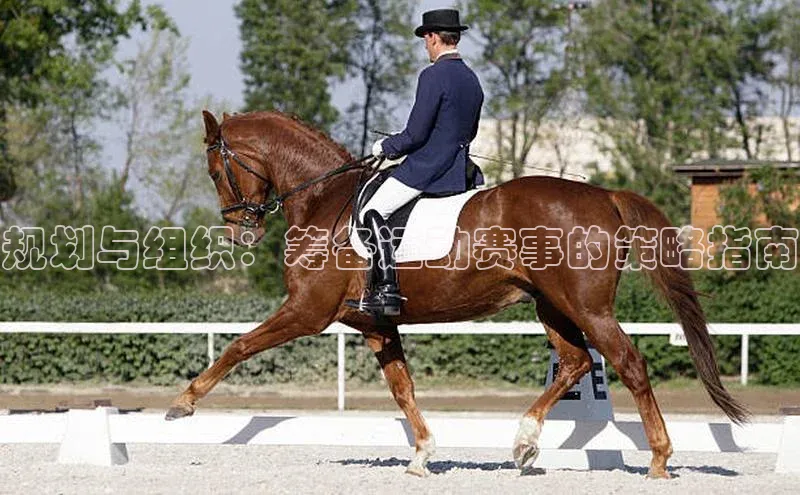 QY千亿球友会网站