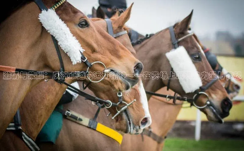 QY球友会(体育)官方网站