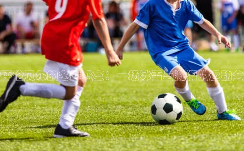 qy球友会(中国)官方网站