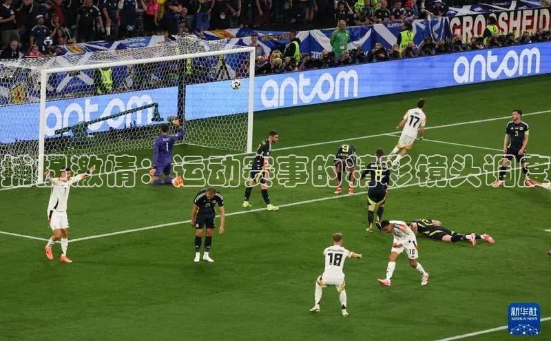 qy千亿球友会官网